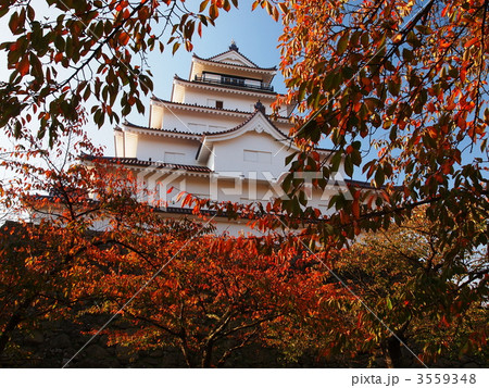 秋の鶴ヶ城 秋の鶴ヶ城 3559348