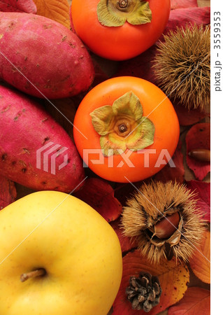 秋の味覚 秋の味覚 3559353