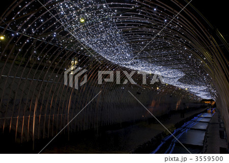 京の七夕 光の天の川 京の七夕 光の天の川 3559500