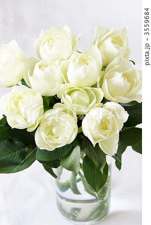 ガラスの花瓶に入ったブルゴーニュというバラの花束 3559684