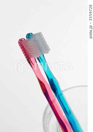 男女用歯ブラシペア 3559726