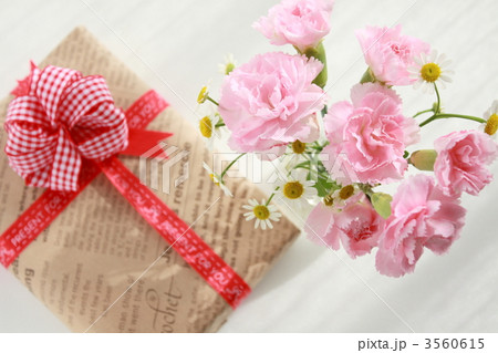 カーネーションと贈り物 3560615