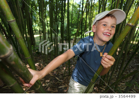 boy in bamboo grove in  Sochi arboretum 3564499