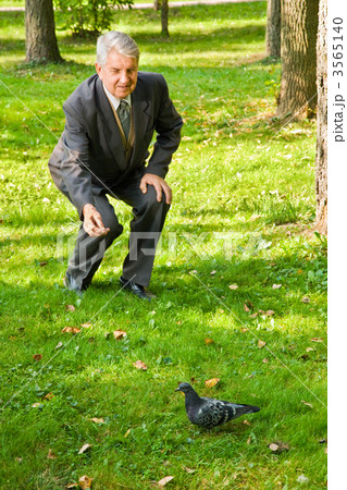 Senior man feeds dove in park Senior man feeds dove in park 3565140
