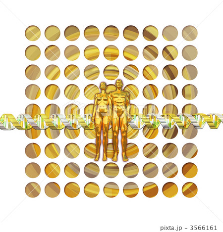 人類・DNA／ヒトゲノムのイメージ 3566161