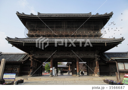 長浜　大通寺の山門 3566687