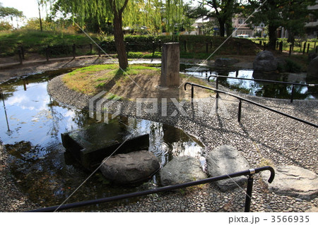 二条公園の鵺池 3566935