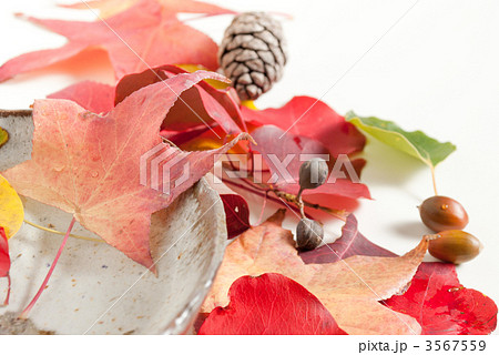 晩秋イメージ 3567559