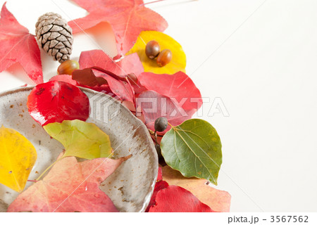 晩秋イメージ 晩秋イメージ 3567562