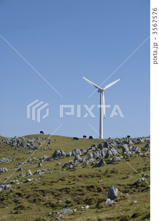 自然と風力発電 四国カルスト 愛媛観光 高知観光 自然と風力発電 四国カルスト 愛媛観光 高知観光 3567576