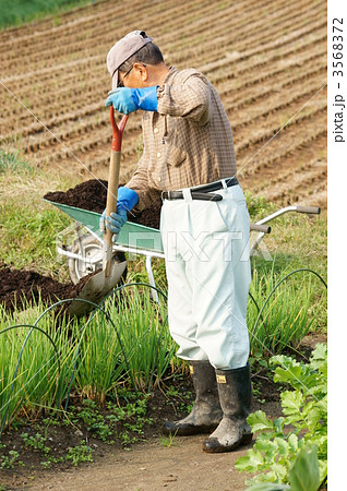 畑仕事をする男性 畑仕事をする男性 3568372