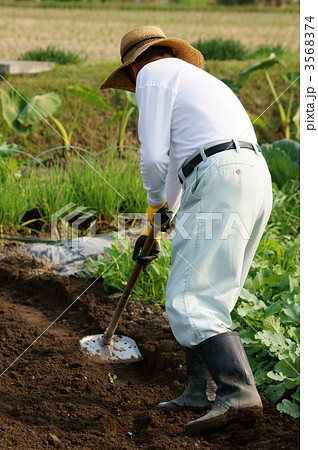 畑仕事をする男性 3568374