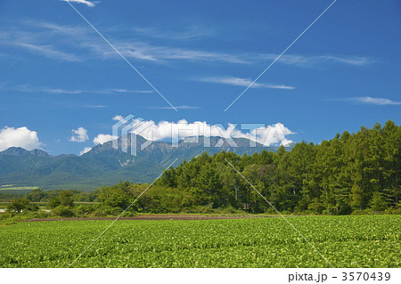 八ヶ岳とレタス畑 八ヶ岳とレタス畑 3570439