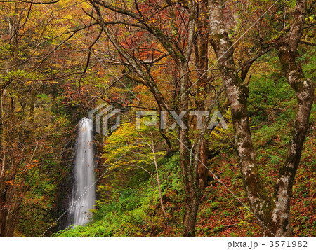 紅葉の雨滝 3571982
