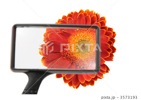 flower through magnifier 3573193