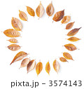 落ち葉サークル 3574143