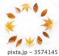 落ち葉のサークル 3574145