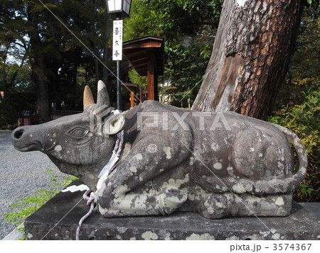 長岡天満宮 神牛 長岡天満宮 神牛 3574367