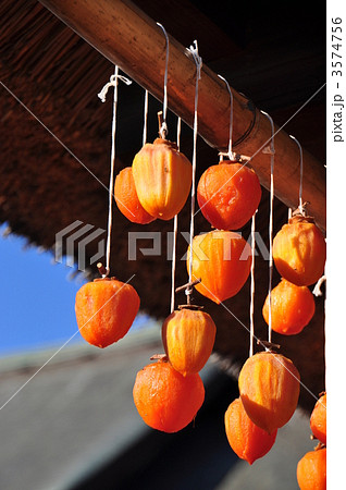 ころ柿 3574756