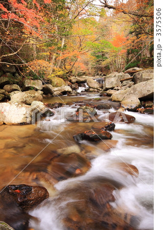 秋の葦津渓谷 3575506