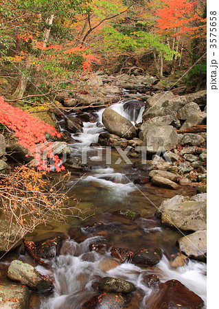 秋の芦津渓谷の写真素材