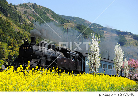 菜の花と蒸気機関車 3577046