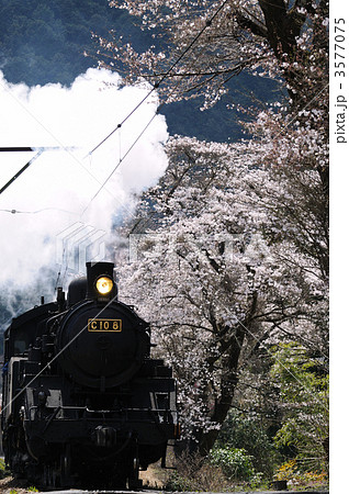 桜と蒸気機関車 3577075