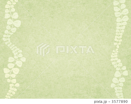 和紙につる草 3577890