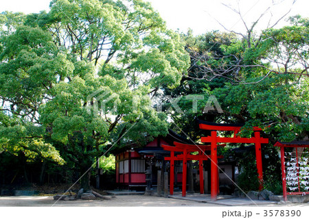鳥居 3578390