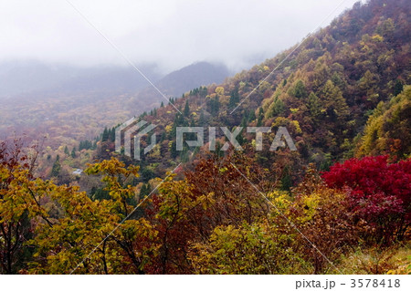 奥大山の紅葉 3578418