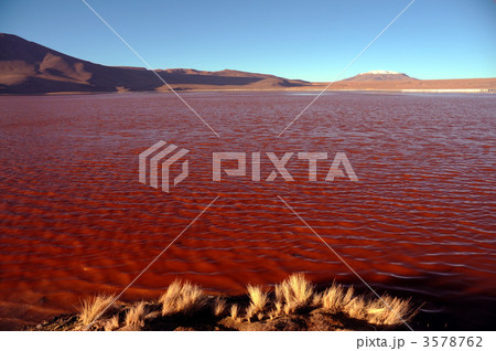 ウユニ塩湖のさらに奥地にある赤い湖 ラグーナ コロラダ の写真素材