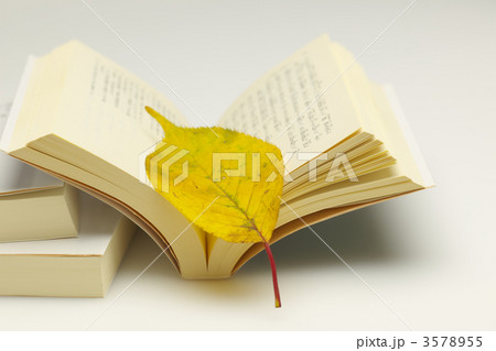 読書の秋 読書の秋 3578955