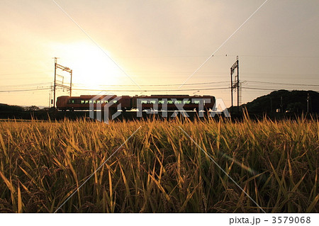 瑞穂の国の夕暮れ 3579068