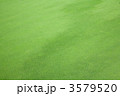 芝生 3579520