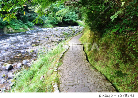 山中温泉・鶴仙渓 山中温泉・鶴仙渓 3579543
