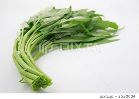 クウシンサイ クウシンサイ 3580004