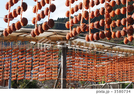 串柿の里 3580734