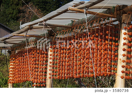 串柿の里 串柿の里 3580736