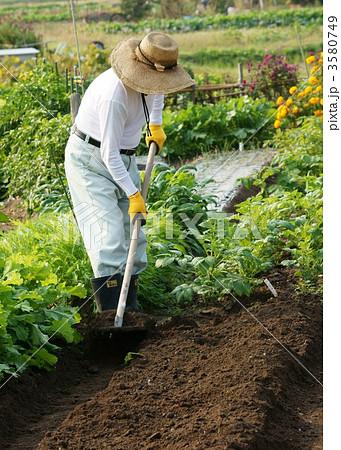 畑仕事をする男性 3580749