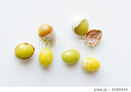 ぎんなん 3580944