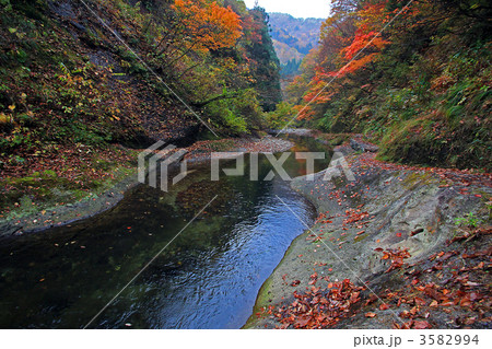紅葉川渓谷 紅葉川渓谷 3582994