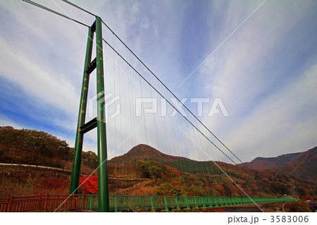 もみじ谷大吊橋 3583006
