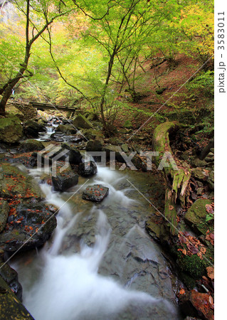 竜化の滝遊歩道・寒沢 3583011