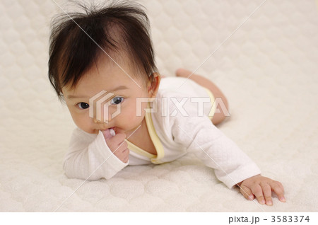 4ヶ月 001 4ヶ月 001 3583374