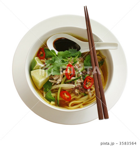 ペナンアッサムラクサ 3583564