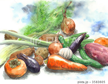 アナログ水彩画野菜と果物静物画のイラスト素材