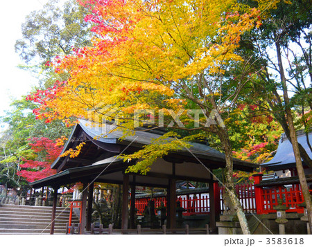 奈良公園　手向山八幡宮 3583618