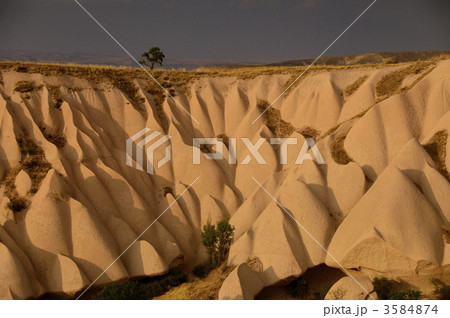 ローズバレー 3584874