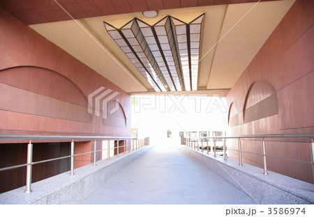 Footpath Footpath 3586974