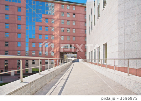 Footpath outside 3586975